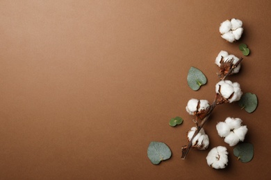 Photo of Flat lay composition with cotton flowers on brown background. Space for text