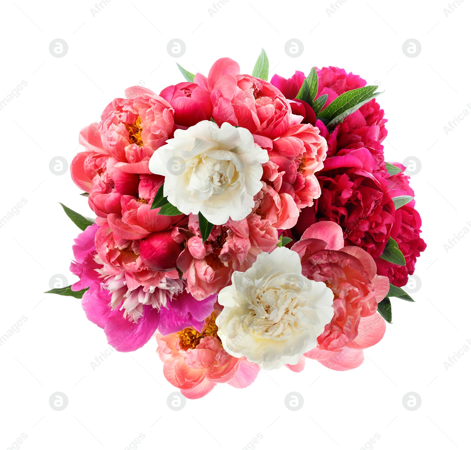 Image of Beautiful peony flower bouquet on white background