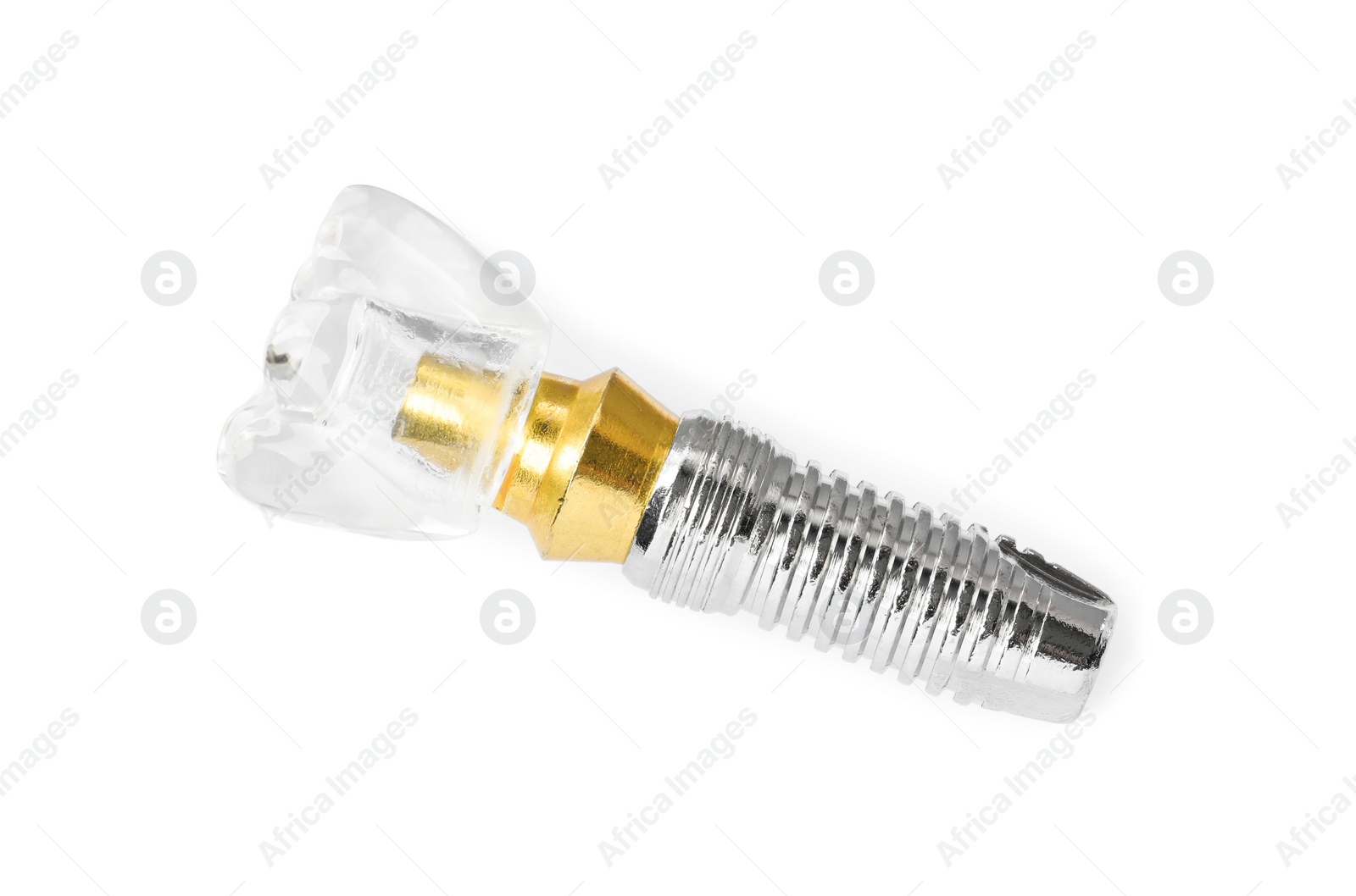 Photo of Educational model of dental implant isolated on white, top view