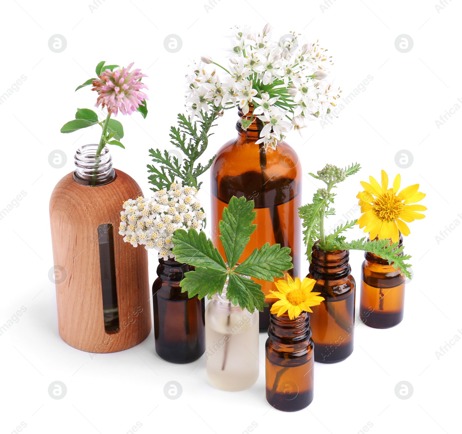 Photo of Many bottles of essential oils and different wildflowers on white background