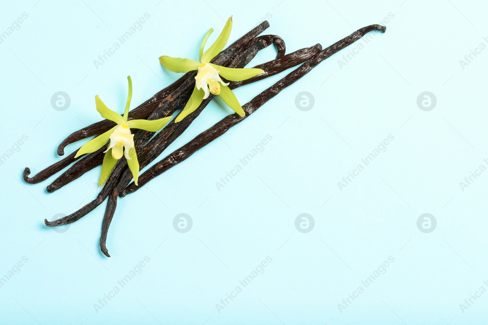 Photo of Vanilla pods and beautiful flowers on light blue background, top view. Space for text