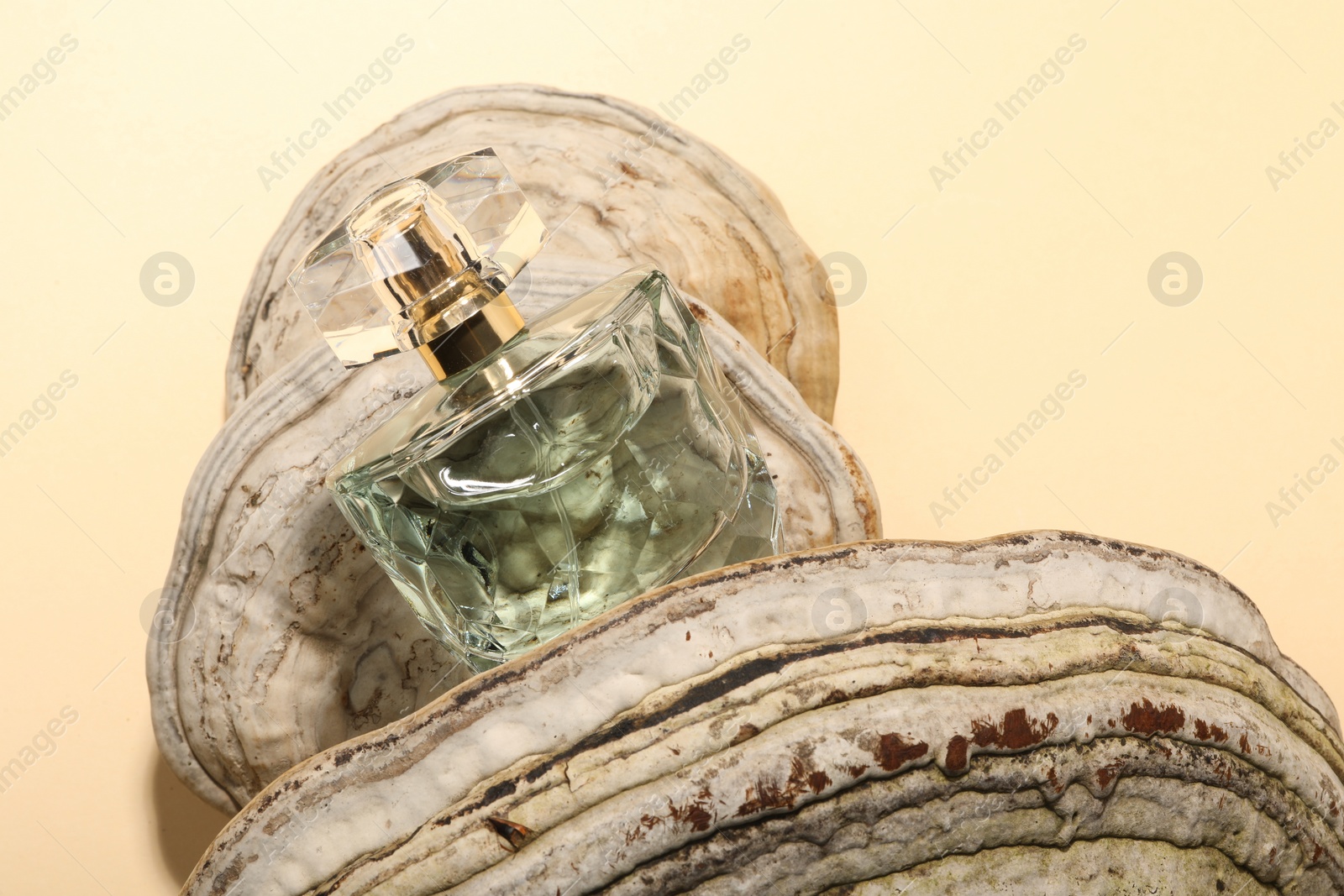 Photo of Luxury perfume in bottle and decorative element on beige background