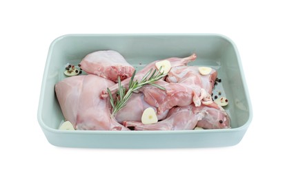 Raw rabbit meat, spices and garlic in baking dish isolated on white