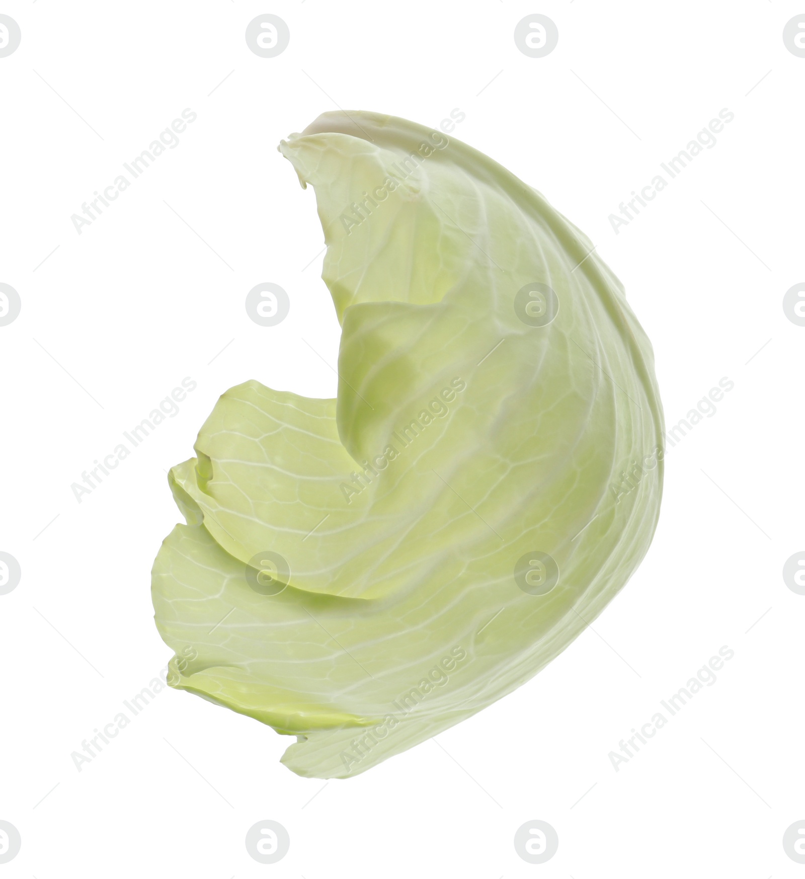 Photo of Leaf of fresh ripe cabbage isolated on white