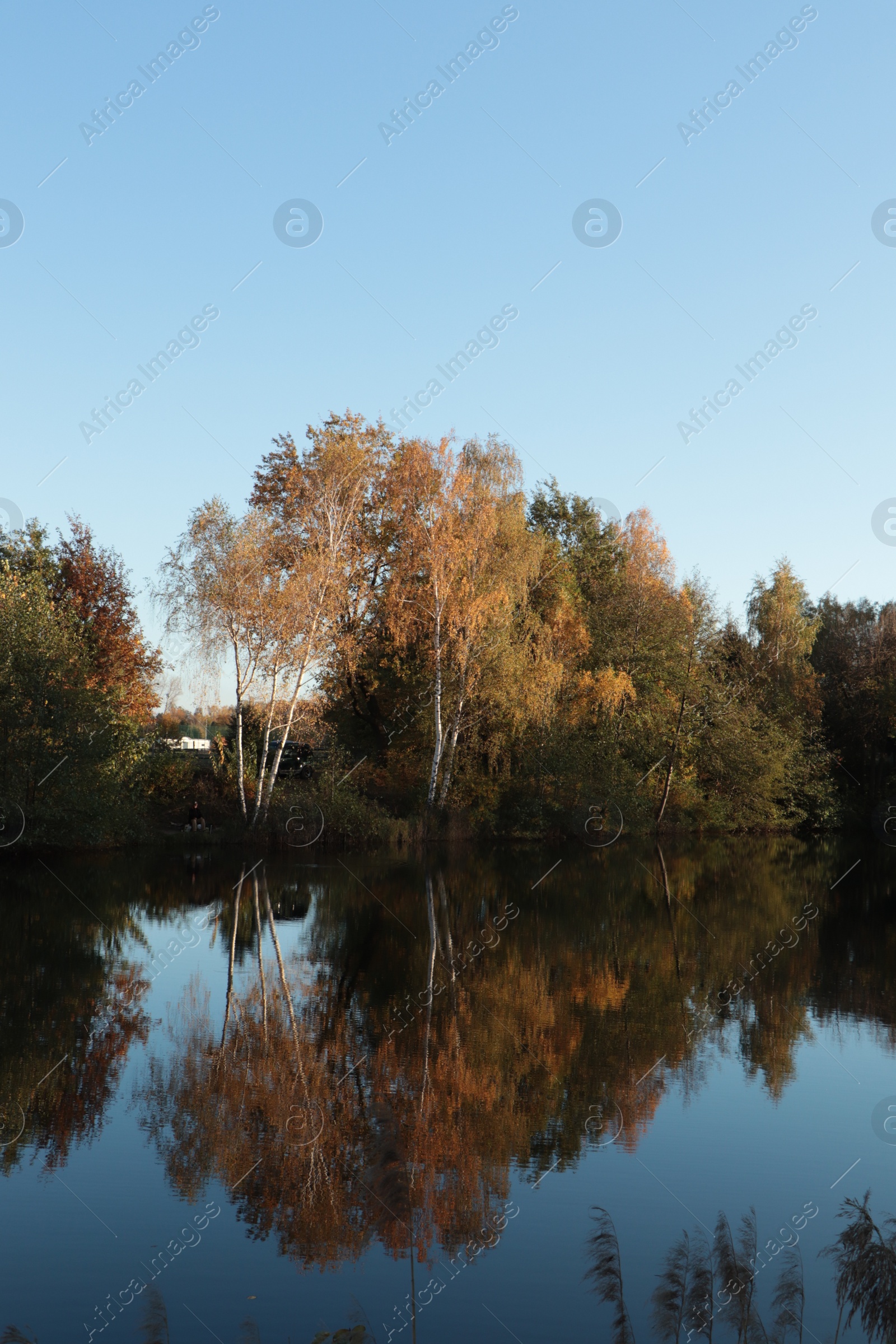 Photo of Picturesque view of lake and trees on autumn day