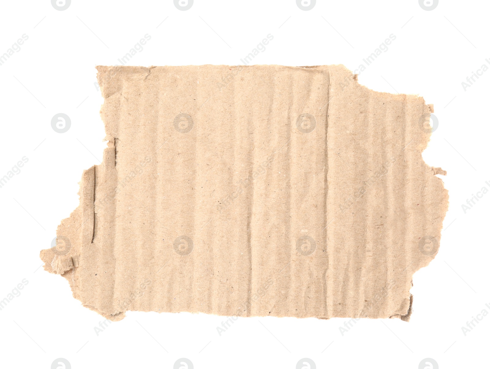 Photo of Piece of torn cardboard isolated on white