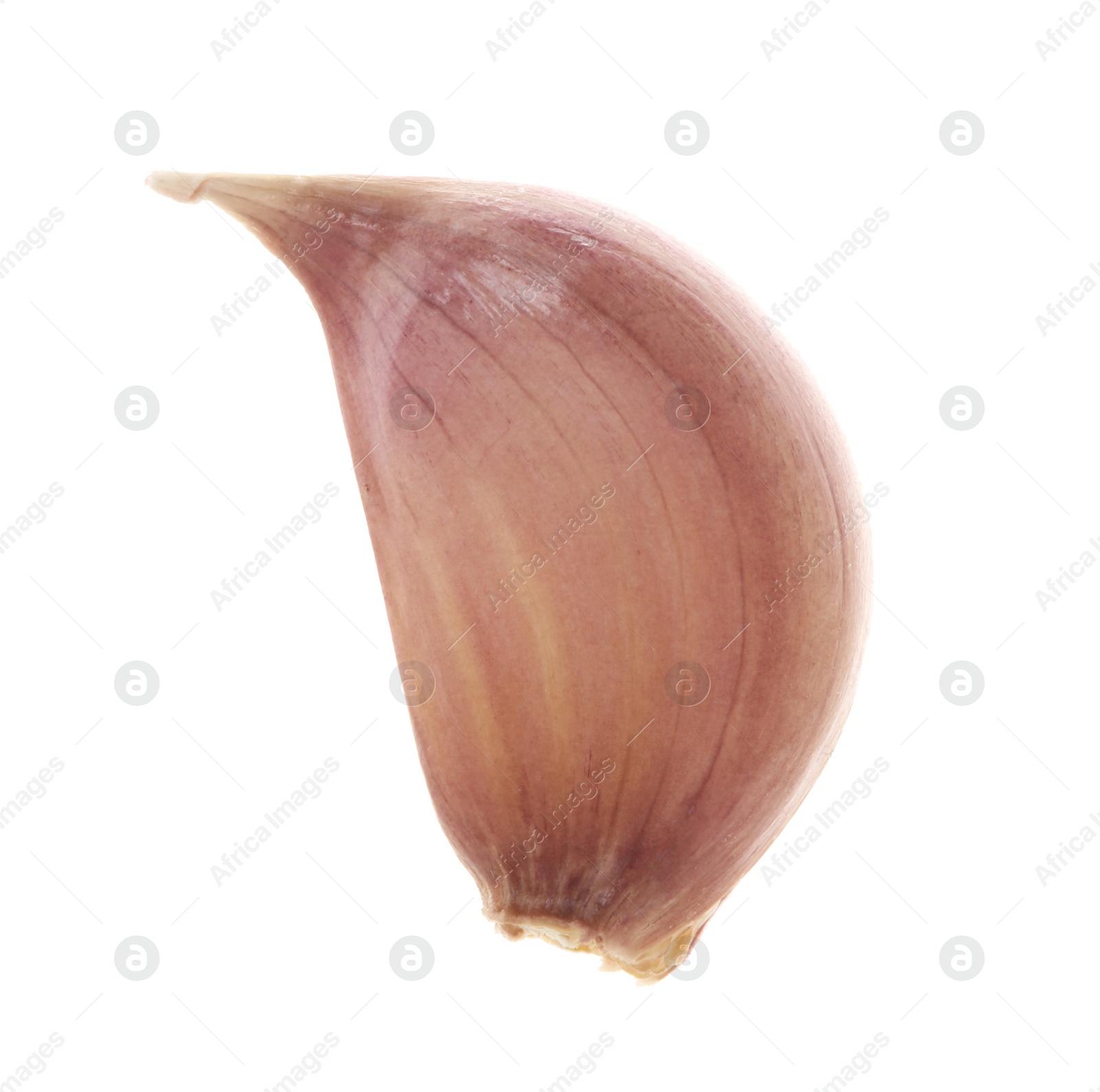 Photo of One unpeeled clove of garlic isolated on white