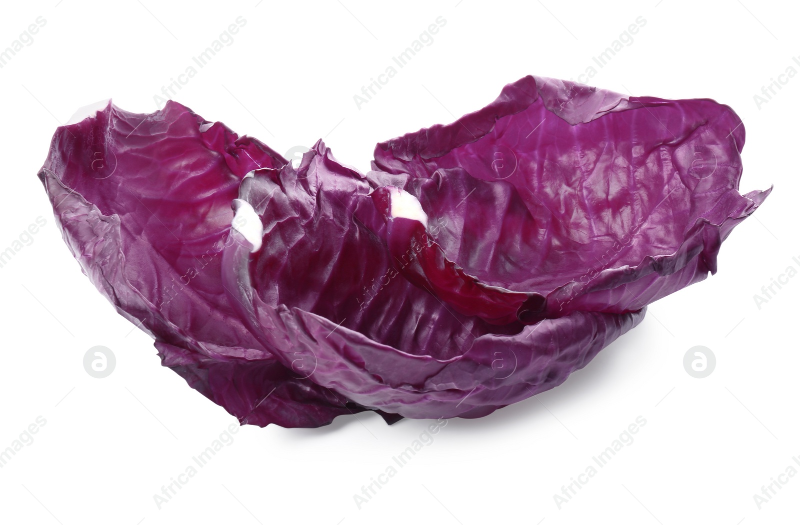 Photo of Two radicchio cabbage leaves on white background