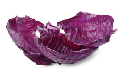 Two radicchio cabbage leaves on white background