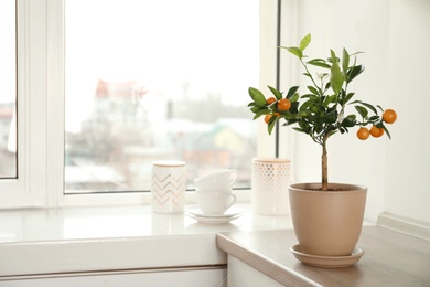 Potted citrus tree on table near window indoors. Space for text