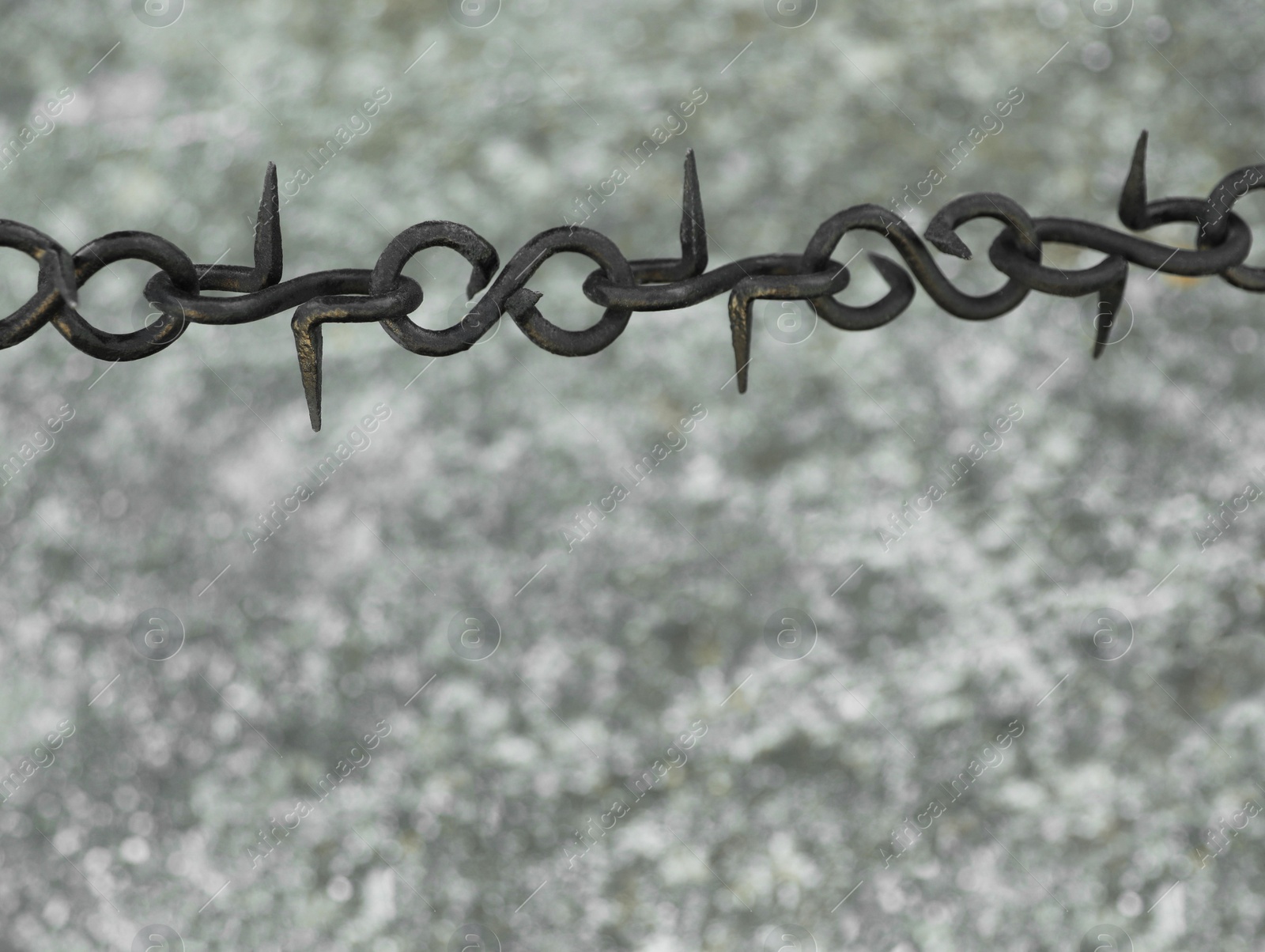 Photo of Beautiful black chain with spikes on grey background