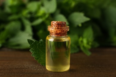 Glass bottle of nettle oil and fresh leaf on wooden table, closeup