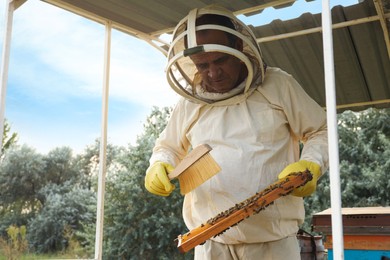 Photo of Beekeeper in uniform brushing honey frame at apiary