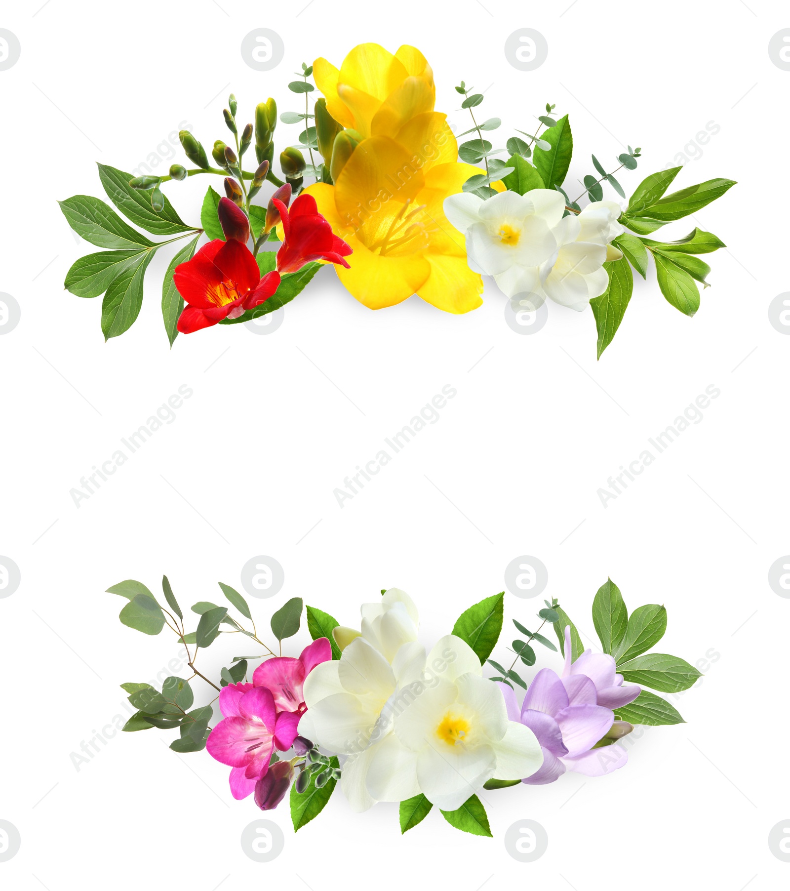 Image of Wreaths made of beautiful flowers on white background