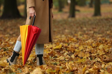Photo of Woman with rainbow umbrella walking in autumn park, closeup. Space for text