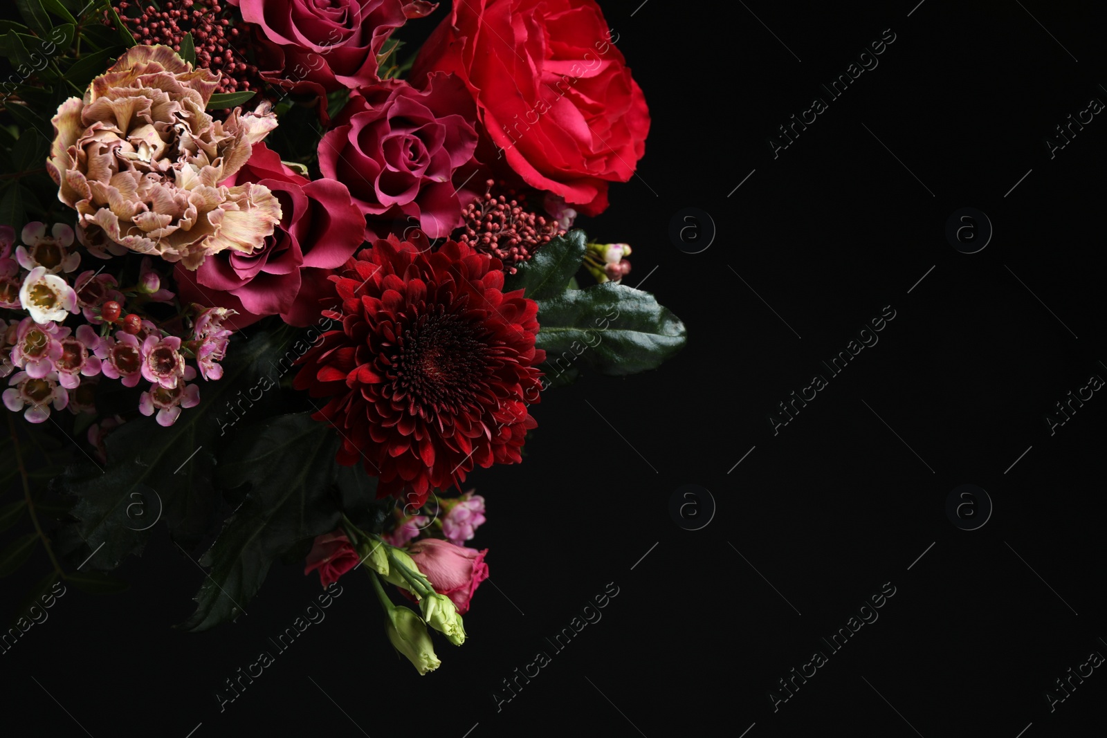 Photo of Beautiful fresh flowers on dark background, space for text