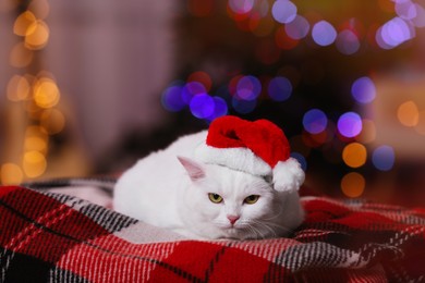 Adorable cat wearing Christmas hat on blanket against blurred lights