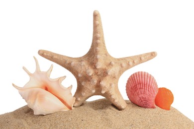 Photo of Beautiful sea star (starfish) and seashells in sand isolated on white