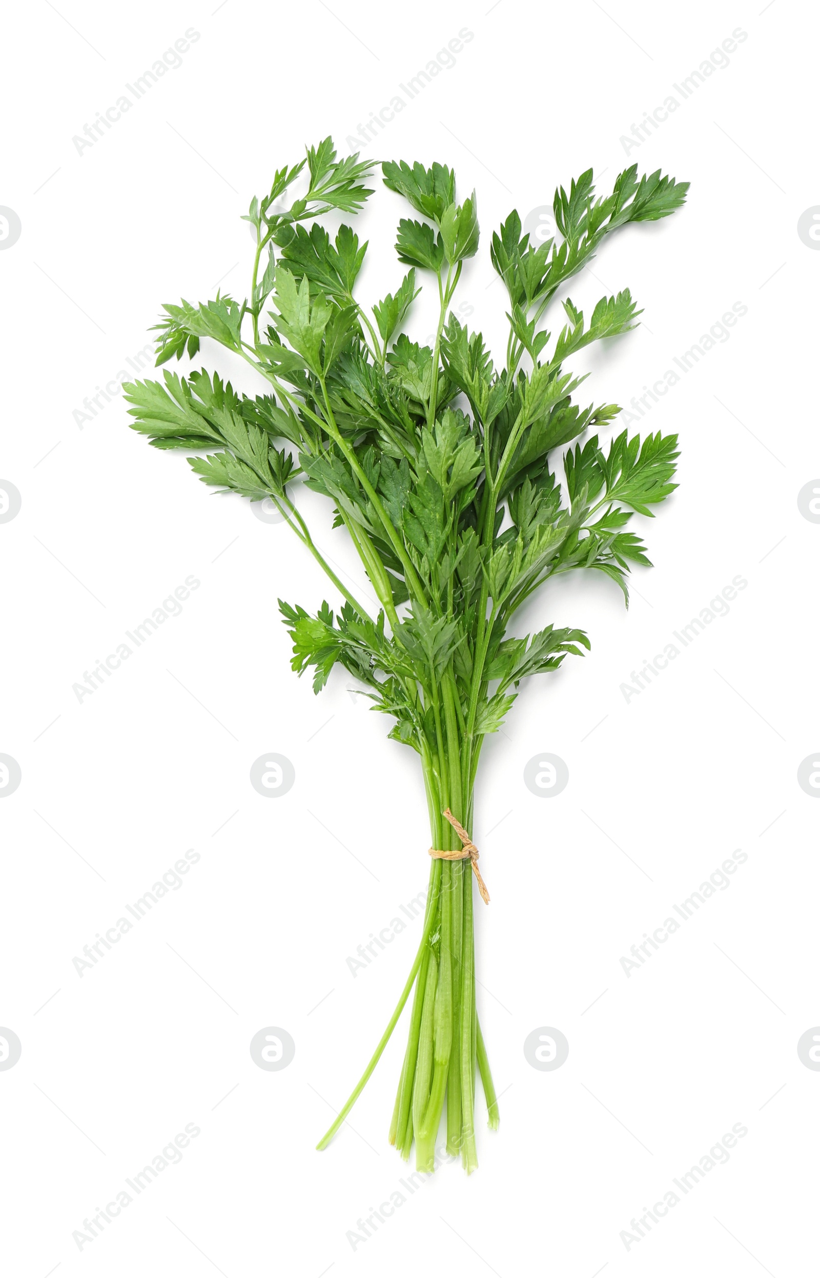 Photo of Bunch of fresh parsley isolated on white, top view