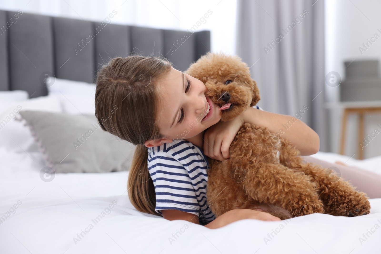 Photo of Little child hugging cute puppy on bed at home. Lovely pet