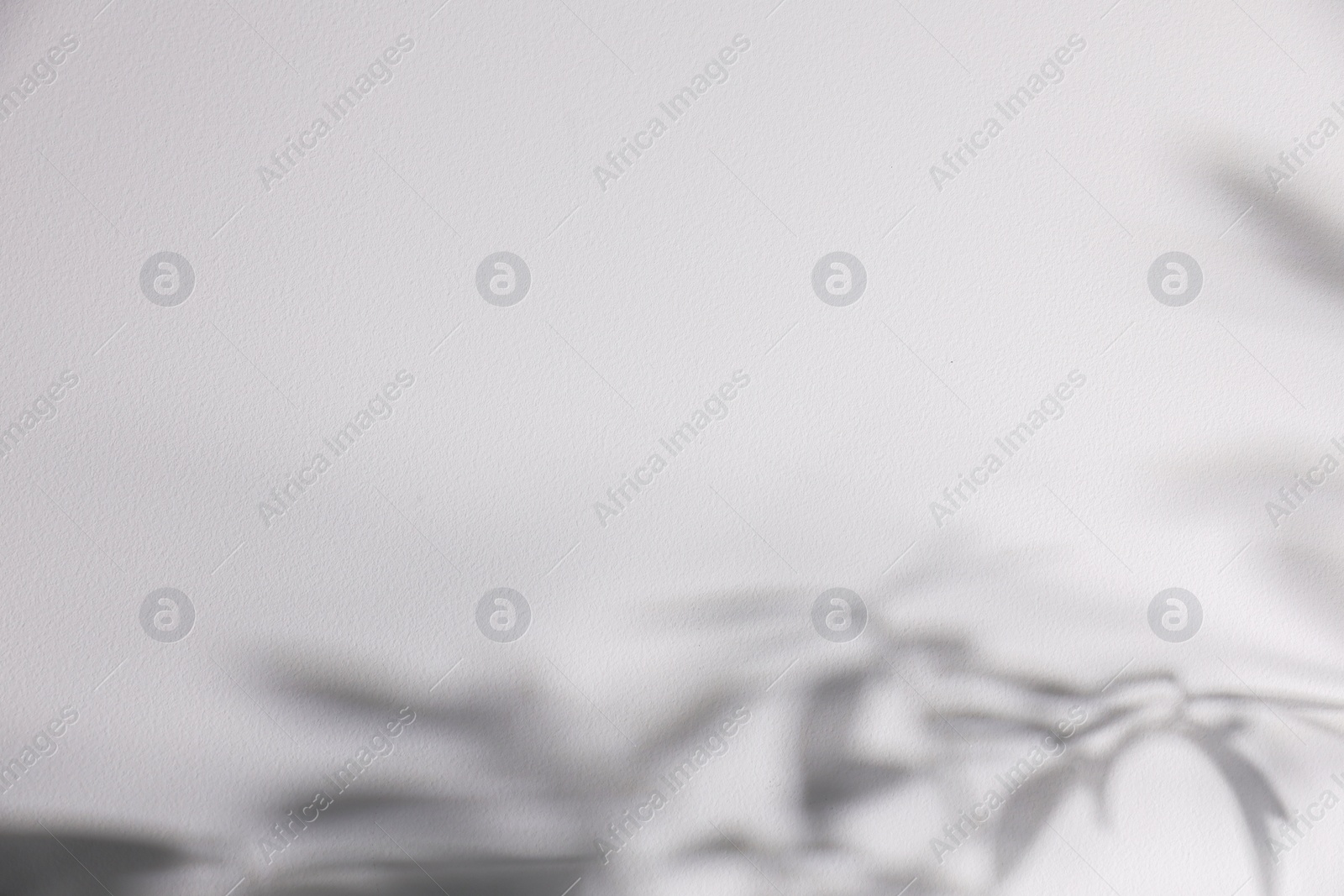 Photo of Shadow of plant falling on white wall, space for text