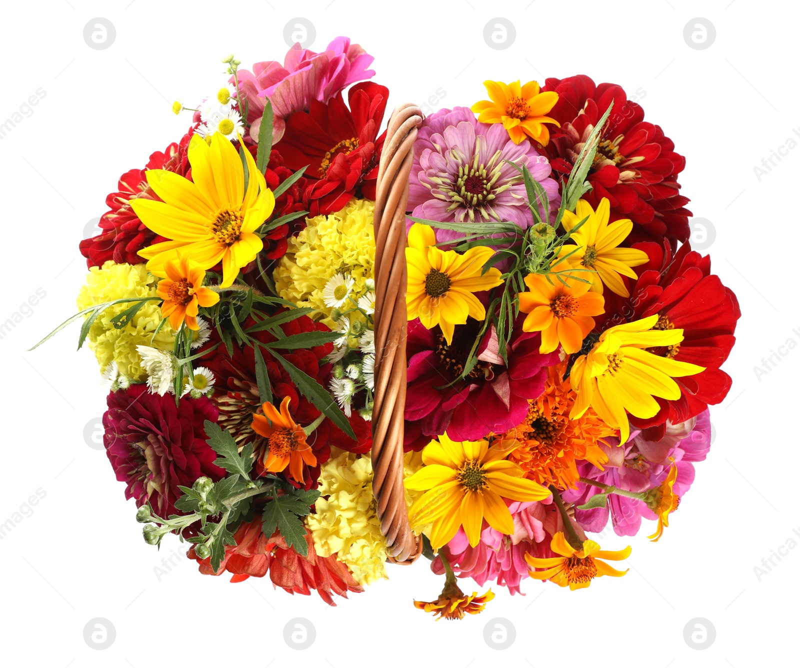 Photo of Beautiful wild flowers in wicker basket isolated on white, top view