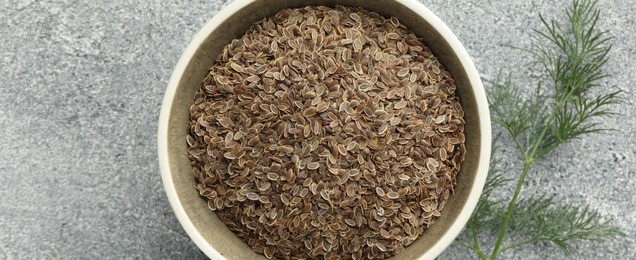 Image of Dill seeds in bowl on grey table, top view. Banner design