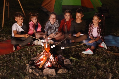 Photo of Little children frying marshmallows on bonfire at night. Summer camp