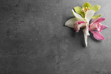 Photo of Beautiful tropical orchid flowers on grey background, flat lay. Space for text