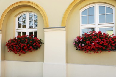 Photo of Windows decorated with blooming beautiful flowers outdoors