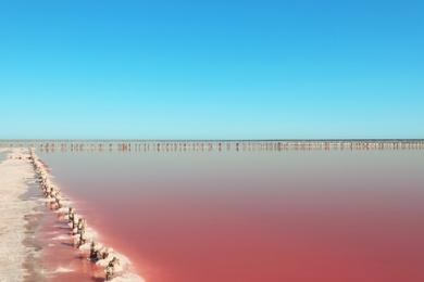 Beautiful view of pink lake on summer day