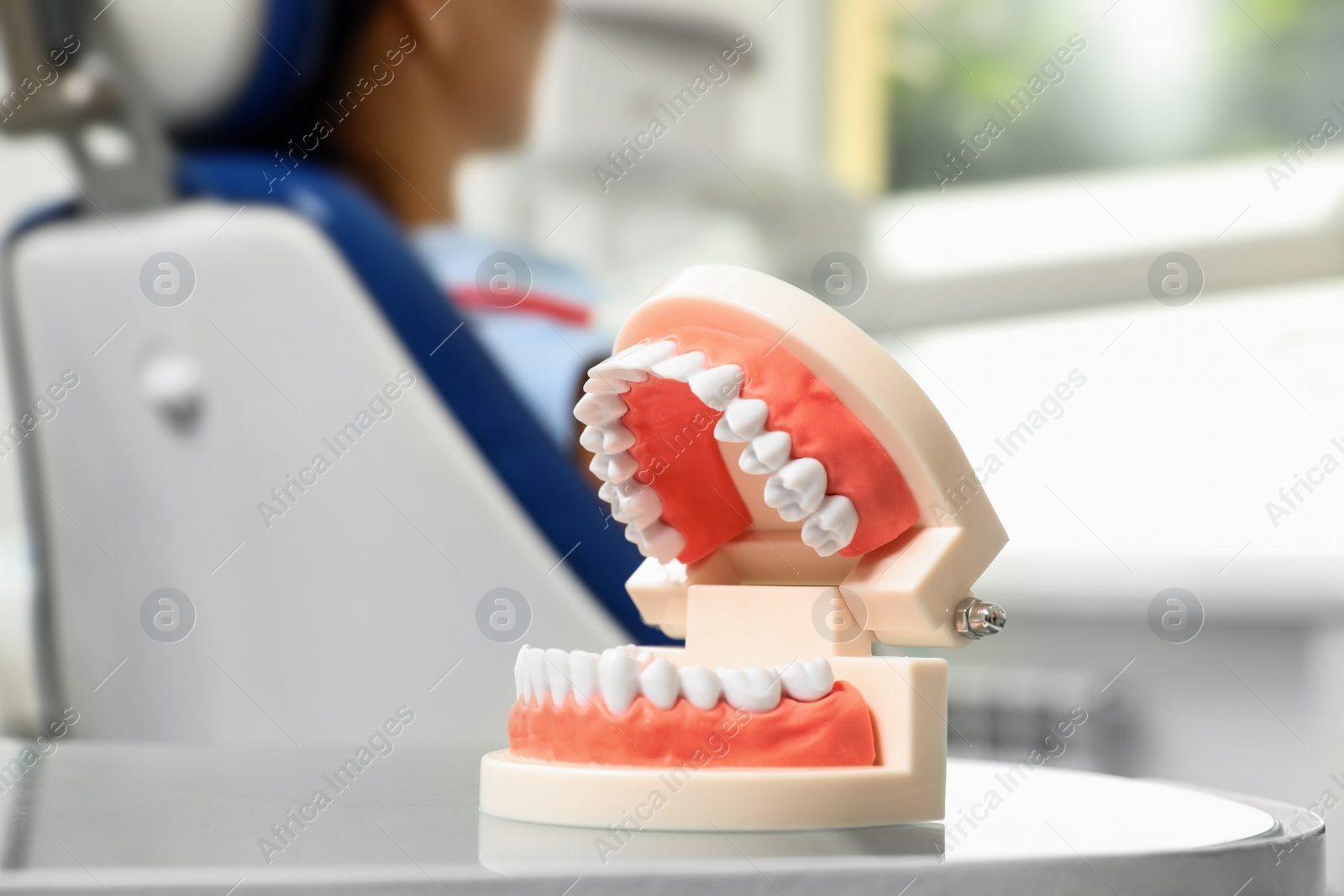 Photo of Jaws model on table in modern dentist office, closeup