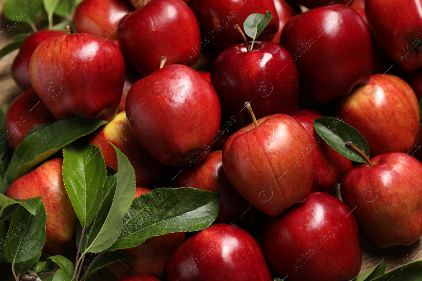 Photo of Fresh ripe red apples with leaves as background, closeup