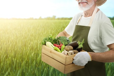 Image of Harvesting season. Farmer holding wooden crate with crop in field, closeup
