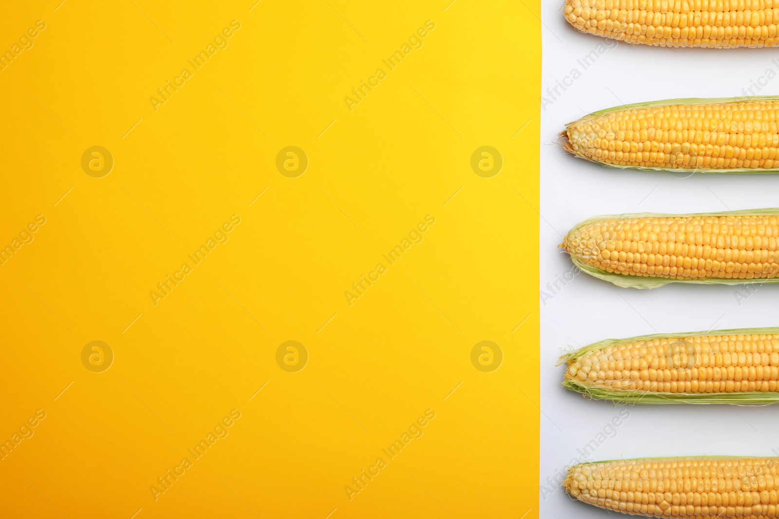 Photo of Flat lay composition with tasty sweet corn cobs on color background