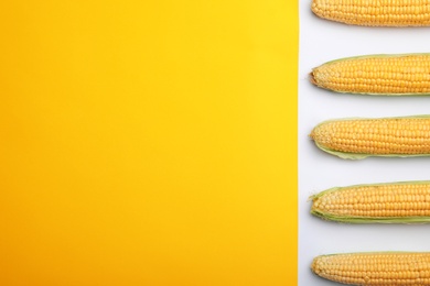 Photo of Flat lay composition with tasty sweet corn cobs on color background