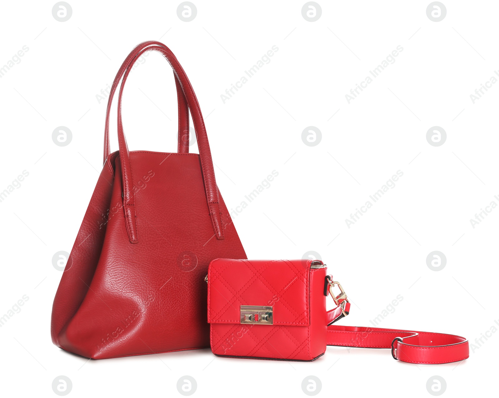 Photo of Different stylish woman's bags isolated on white