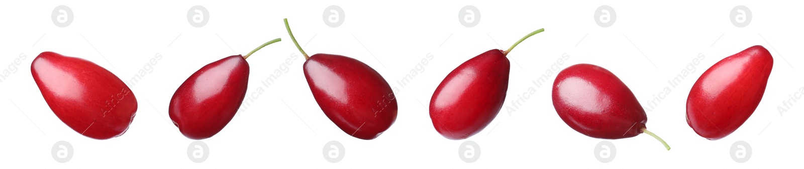 Image of Set of ripe red dogwood berries on white background, banner design