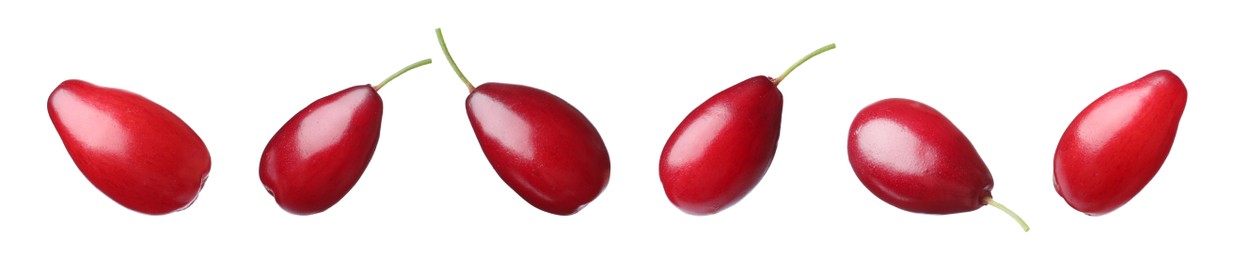 Set of ripe red dogwood berries on white background, banner design