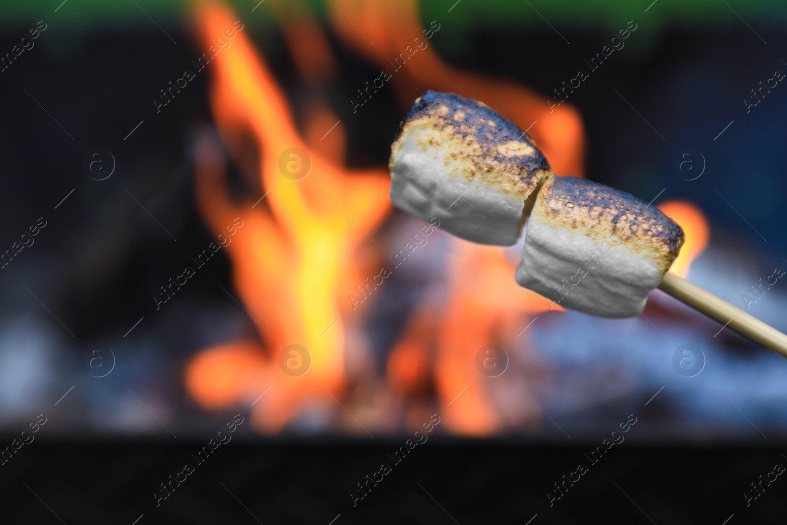 Photo of Delicious puffy marshmallows roasting over bonfire, closeup. Space for text