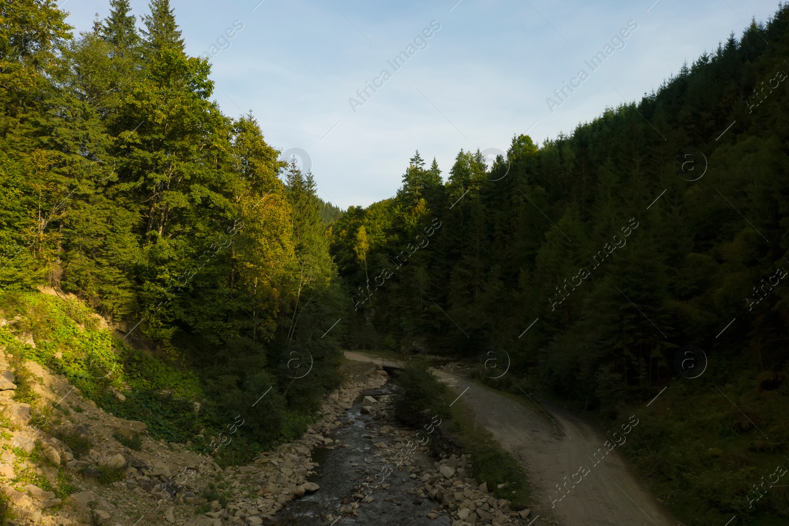 Image of Beautiful landscape with river along road among green trees. Drone photography