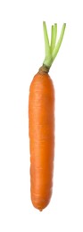 Photo of Fresh ripe juicy carrot isolated on white