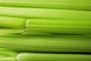 Photo of Fresh green celery bunch as background, top view