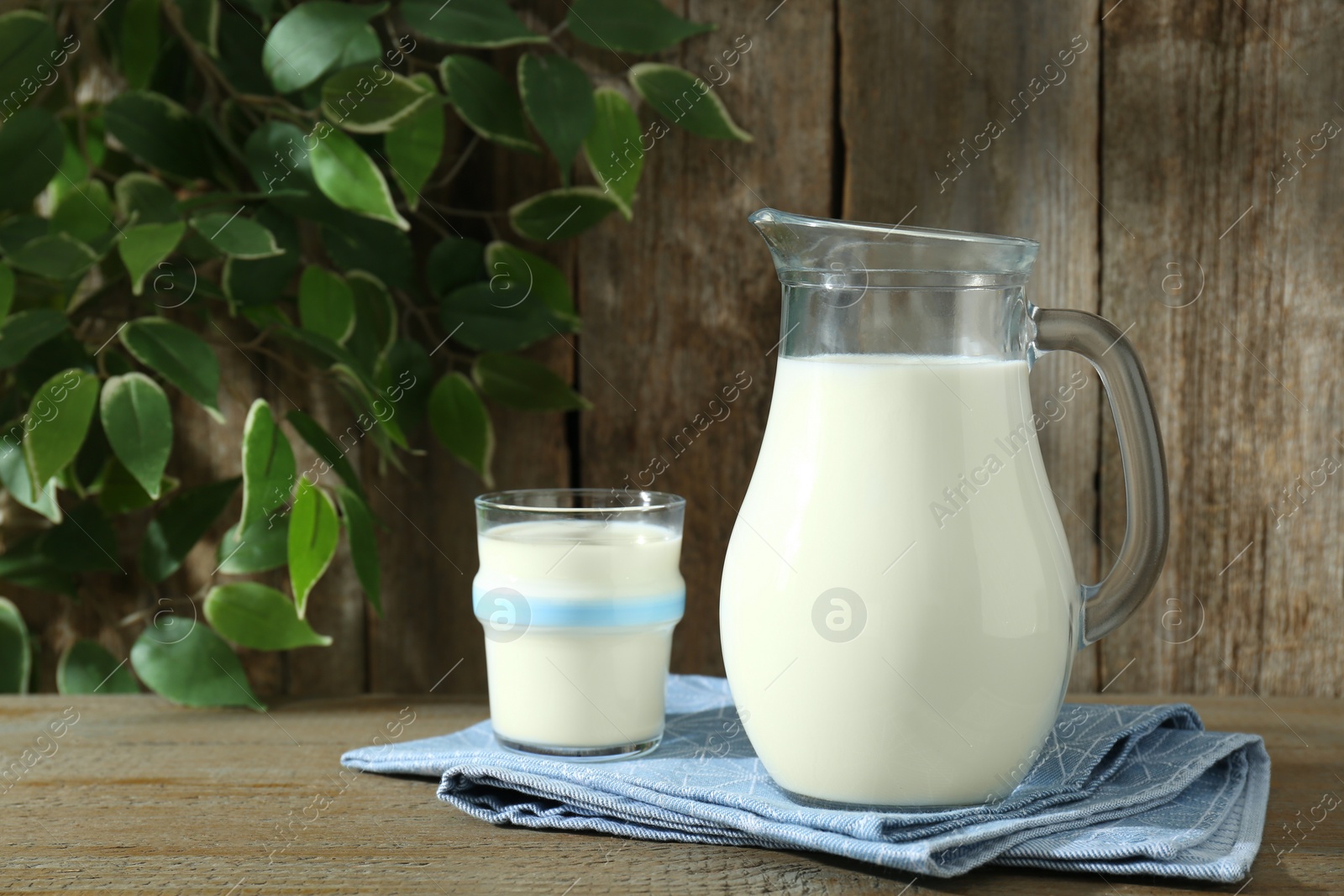 Photo of Jug and glass of fresh milk on wooden table, space for text