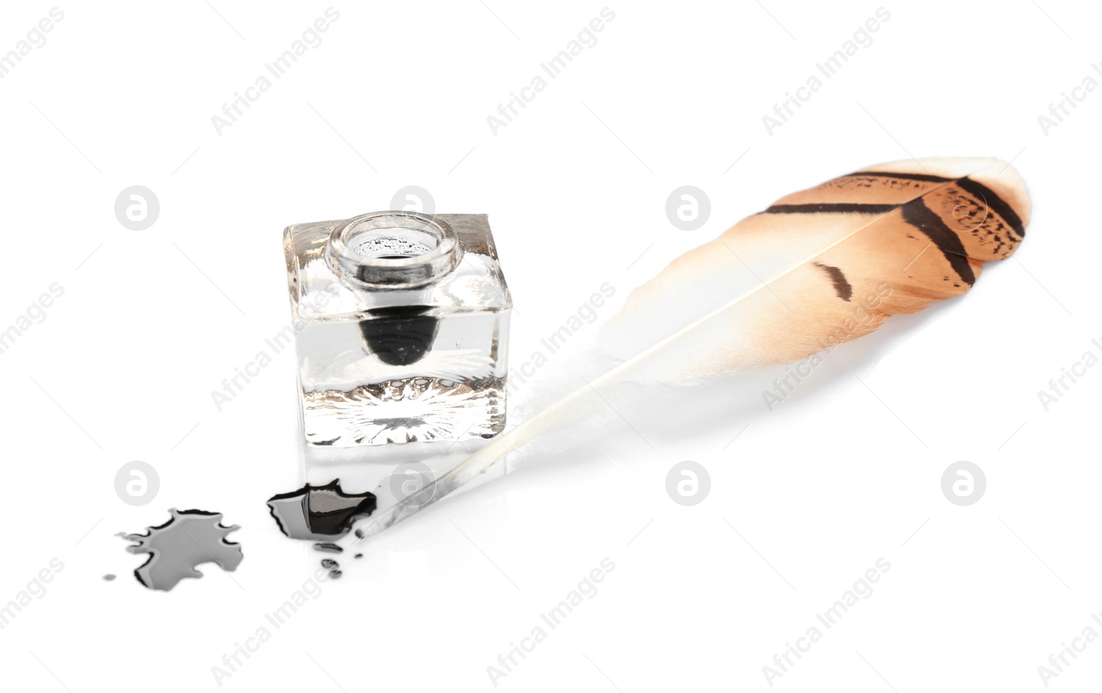 Photo of Feather pen and inkwell on white background