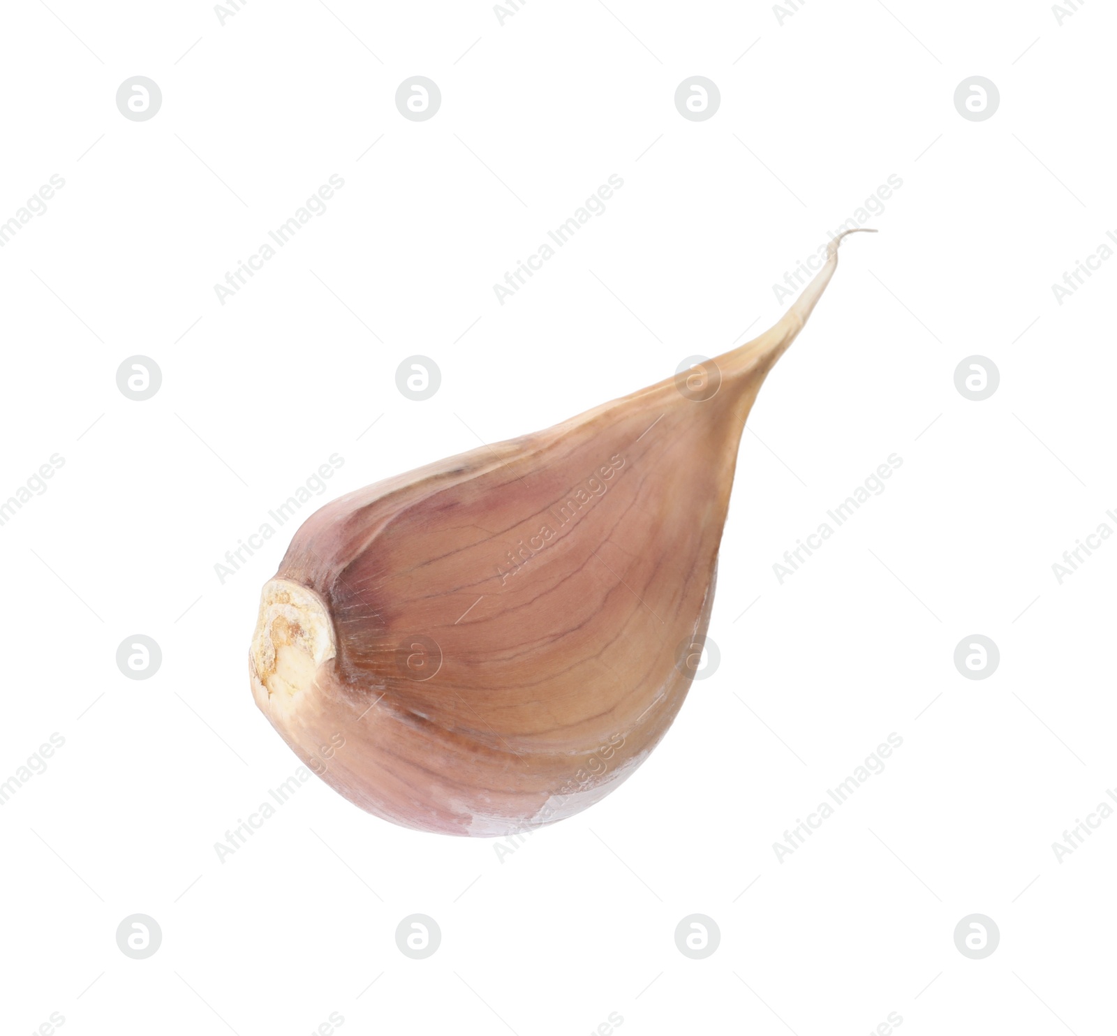 Photo of Fresh unpeeled garlic clove isolated on white. Organic food