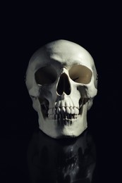 Photo of White human skull with teeth on black background