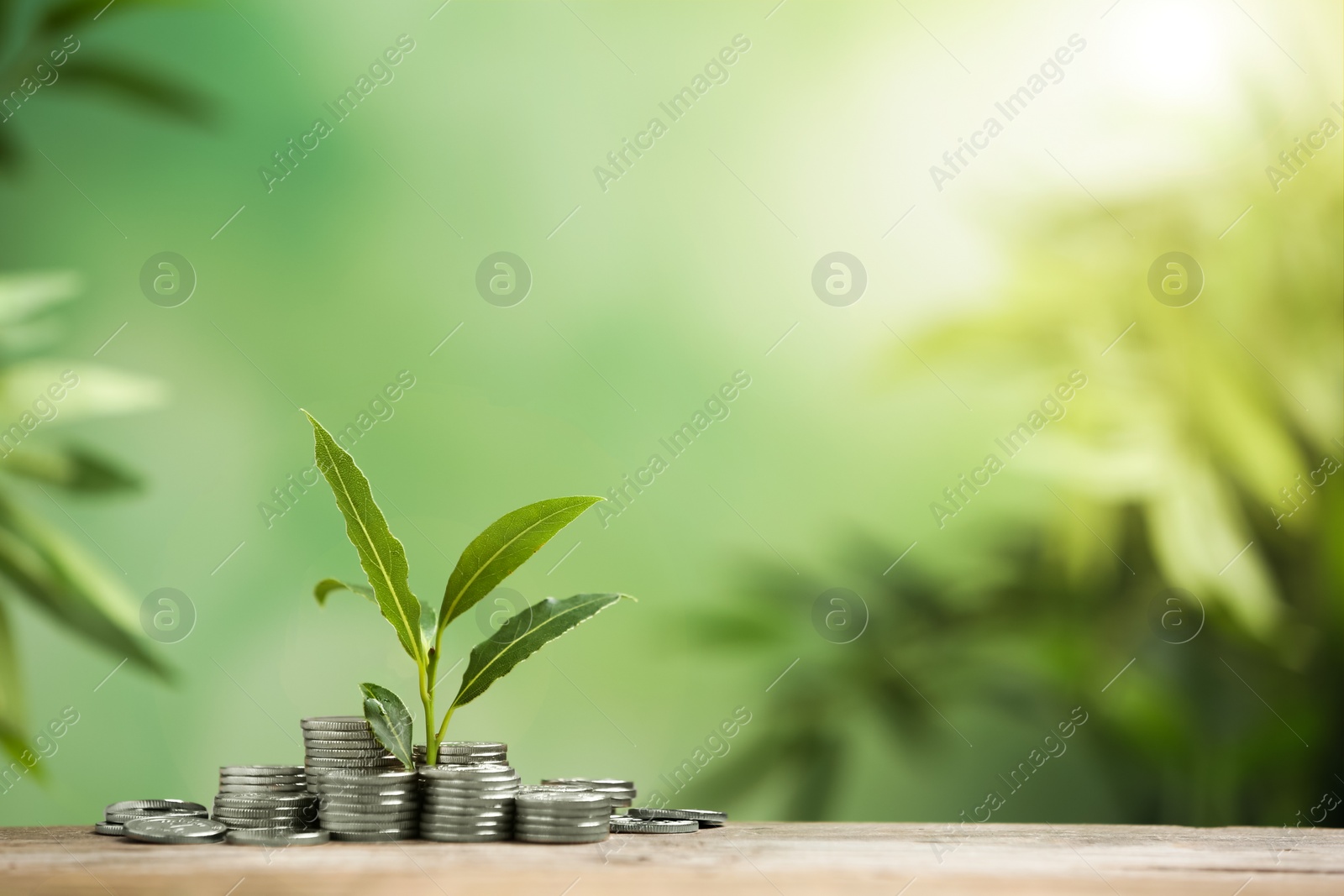 Photo of Stacked coins and young green plant on wooden table against blurred background, space for text