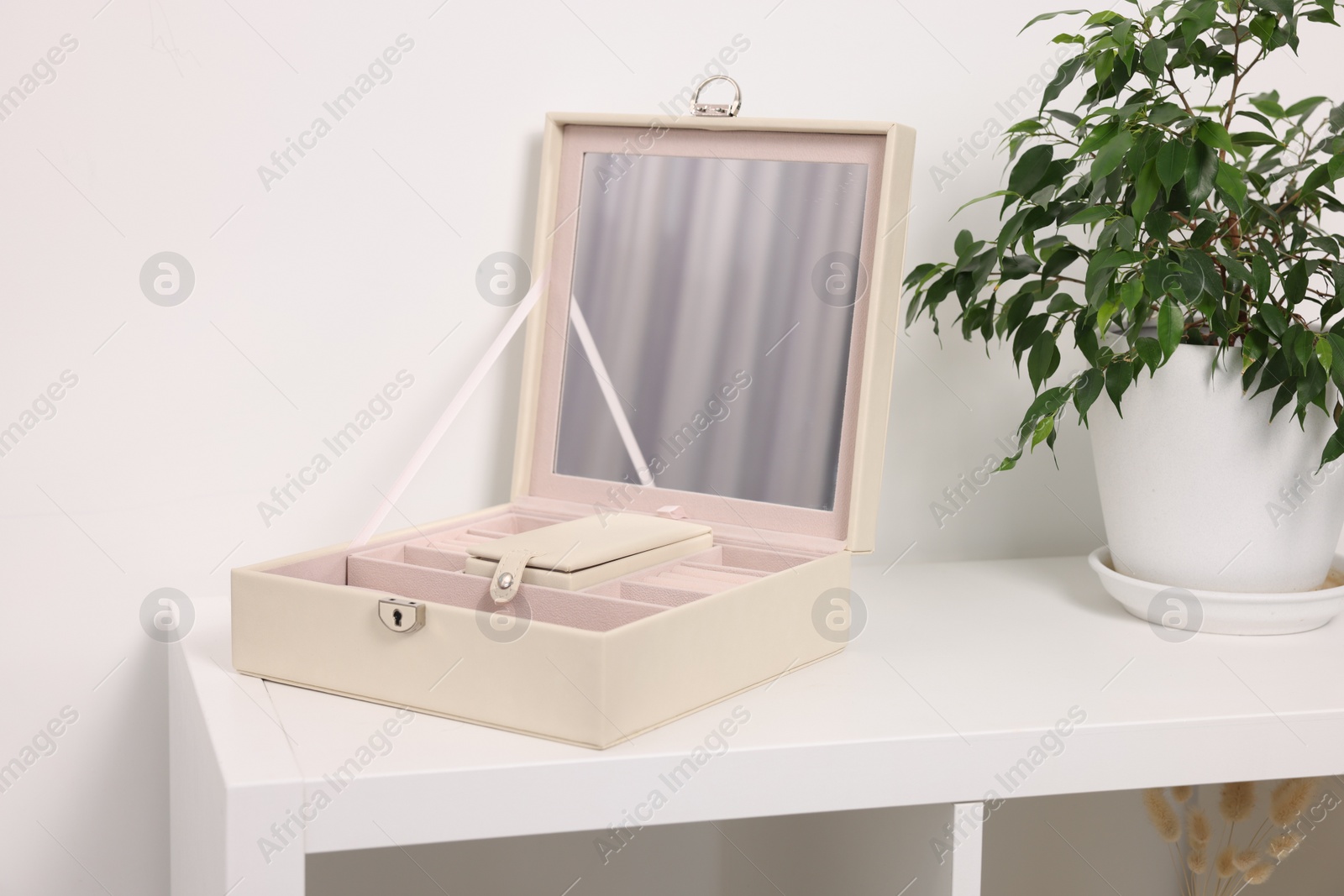 Photo of Empty jewelry box with mirror and houseplant on white table