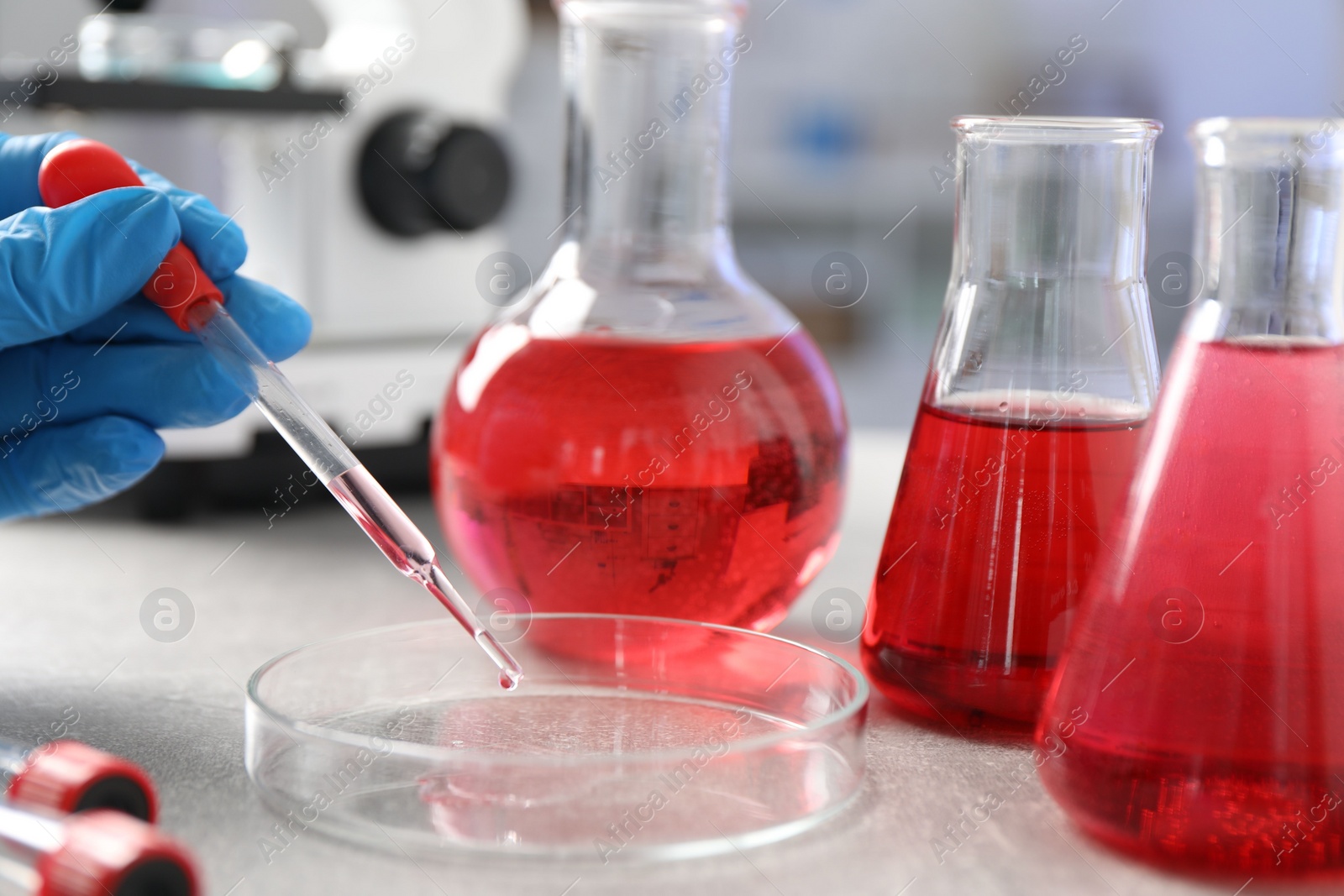 Photo of Laboratory analysis. Dripping red liquid into Petri dish on light grey table, closeup